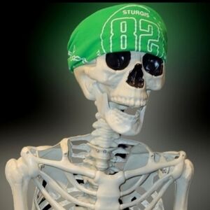 Jack Daniels Sturgis Rally 82nd Anniversary Green hankerchief bandana NWT